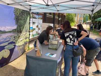 Stand de l'Association de la Grande Cariçaie lors de la Fête de la nature