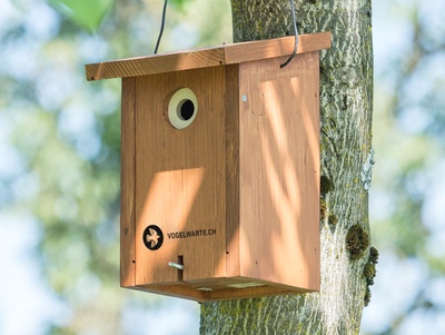 Fabrication de nichoirs à oiseaux