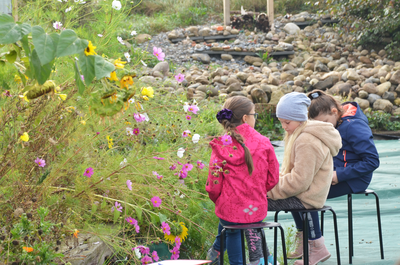 La biodiversité, quésaco ? Testez-vous !