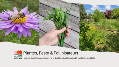 Plantes, Pesto & Pollinisateurs : La Fête de la Nature au Jardin Forêt des Morettes