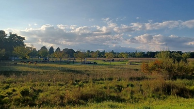 Découverte du verger de Belle-Terre