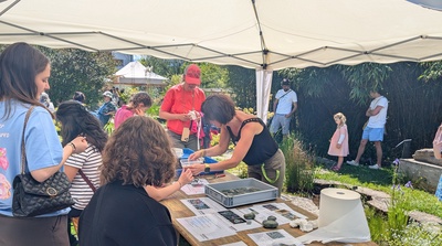 Deviens tailleur ou tailleuse de pierre !