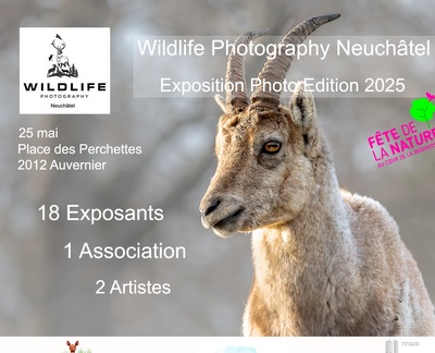 Wildlife photography Neuchâtel. Un regard sur le monde.