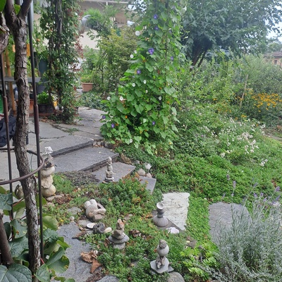 Portes ouvertes d'un jardin favorisant la biodiversité