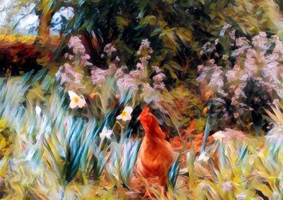 Conte par Alix Noble Burnand