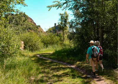 Visite découverte des insectes