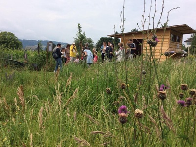Plantation des légumes d'été