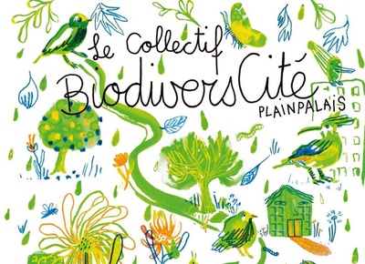 Balade Avifaune « À la découverte de nos voisins les oiseaux »