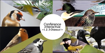 Conférence interactive "1,2,3 Oiseaux!"