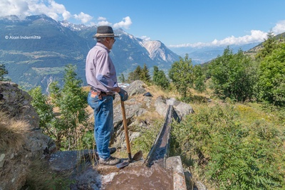 Irriguer à Jeizinen comme dans le temps