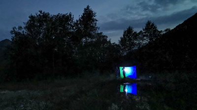 Nachtfalter im Düdinger Moos / Les papillons de nuit du marais de Guin
