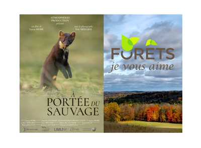 Projection de "À portée du sauvage" et "Forêts, je vous aime"