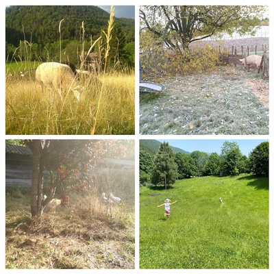 Au milieu des prés, dessiner pour mieux observer