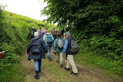 Au fil de l'Argentine