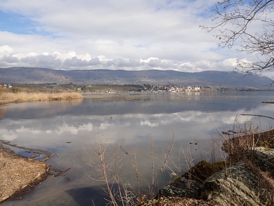 A la découverte des oiseaux d'Yverdon-les-Bains