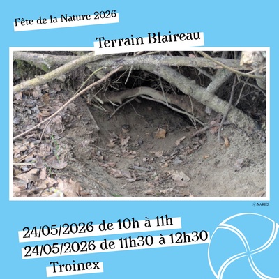 Sur le terrain avec NARIES - Blaireaux