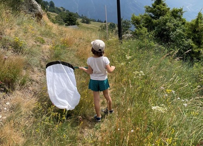 La colline aux papillons