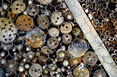 Atelier hôtel à insectes