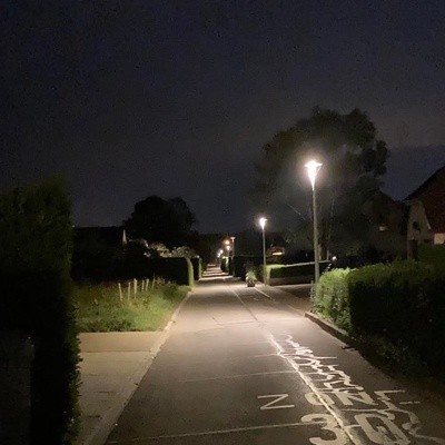 Balade pédagogique "La nature dans la nuit"