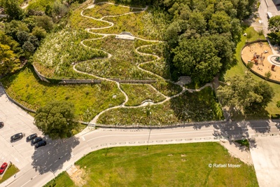 La magie de la biodiversité au Petit-Bois