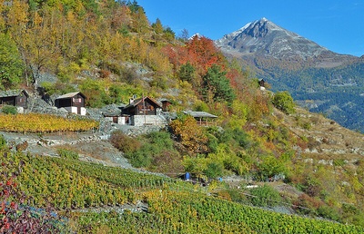 Les perles de Zeneggen