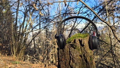 Quand la nature se fait entendre, sortie audio-naturaliste