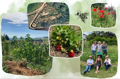 Viste des Jardins Partagés en Permaculture