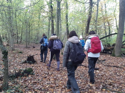 Balade en forêt et cuisine sur le feu (adultes, enfants accompagnés)