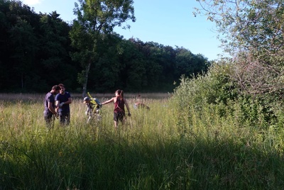 Plantes Invasives : À l'attaque !