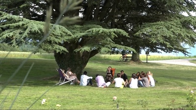 Il était une fois un cèdre du Liban en Suisse...