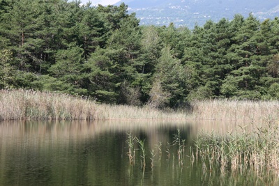 Fascination EAU au site protégé du Bois de Finges