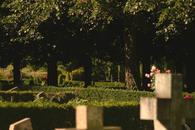 Sauvageons en ville - Cimetière vivant !