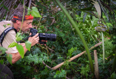 Les images de David Rouge vous parlent!