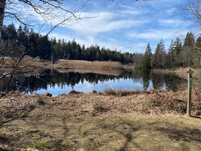 Balade autour des étangs des Bugnons. Découverte de la faune et la flore entre bois et marais