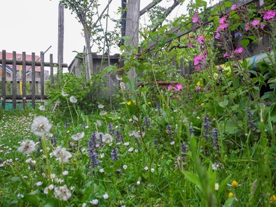 Soirée des Jardins à papillons (NE)