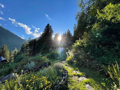 Portes ouvertes au jardin Flore Alpe