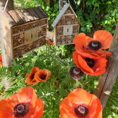 Ecrin de nature - Porte ouverte d'un jardin en faveur de la biodiversité