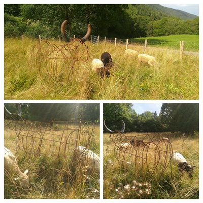 Un oeil, des yeux, mon oeil je crée (Land Art)