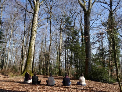 Méditation en nature