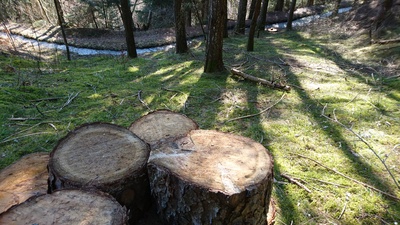 Balade les yeux grands ouverts