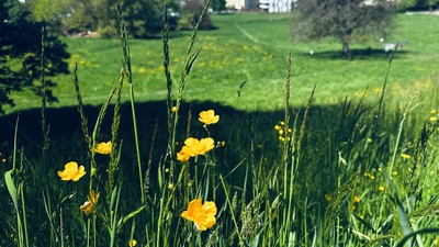 Découverte des richesses naturelles de La Faraz