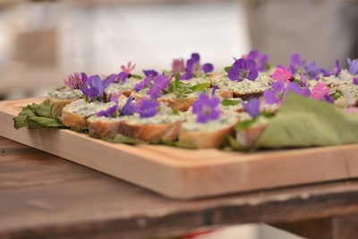 Plantes et apéro sauvage