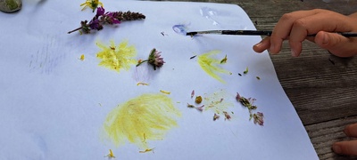 Apprendre sur la forêt et la dessiner