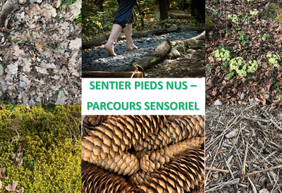 Sentier pieds nus - parcours sensoriel