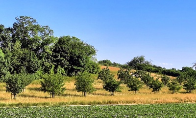 La nature et les paysages de Boncourt