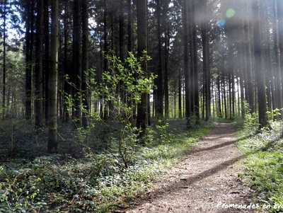 LA VIE DANS TOUS SES ÉTATS !