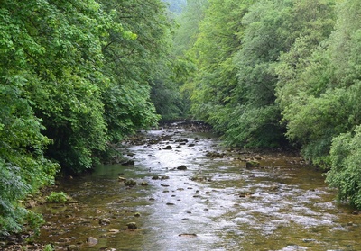 A la découverte du Jardin des mineurs