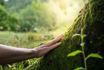 Atelier immersion nature