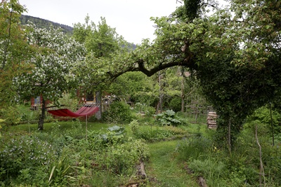 Jardin-forêt: miser sur la biodiversité pour rendre son jardin résilient