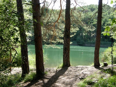 Fascination EAU dans le site protégé du Bois de Finges